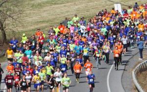 Image of large group of runners in a race